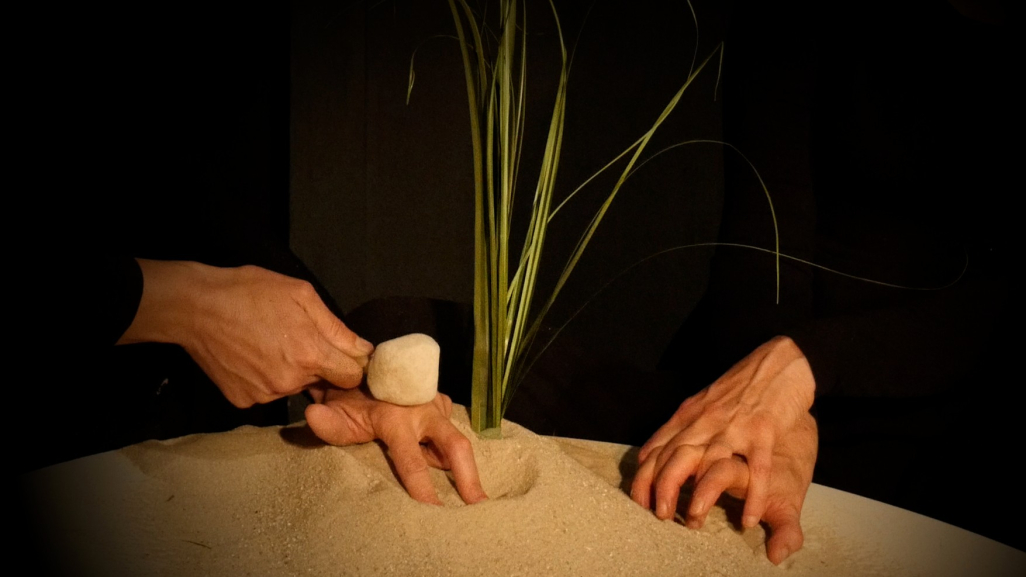 Photo Grain de sable @ Alizée Bredeaux