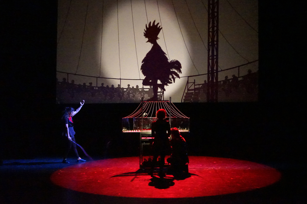 Photo Natchav © Les ombres portées